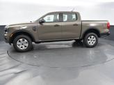 Thumbnail of 2025 Gray Ford Ranger