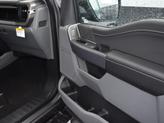 Thumbnail of 2025 Gray Ford F-150