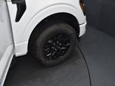 Thumbnail of 2025 Oxford White Ford F-150