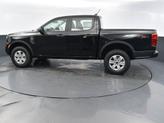 Thumbnail of 2025 Shadow Ford Ranger