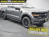 Thumbnail of 2025 Gray Ford F-150