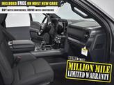 Thumbnail of 2025 Gray Ford F-150