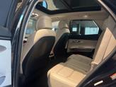 Thumbnail of 2023 Vik Black Genesis GV70