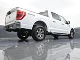 Thumbnail of 2023 Oxford White Ford F-150