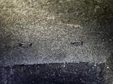 Thumbnail of 2021 Black Tesla Model 3