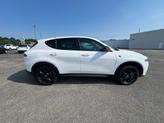 Thumbnail of 2024 Q Ball Dodge Hornet