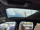 Thumbnail of 2025 Jungle Green Kia Sorento