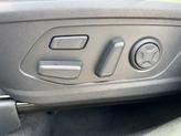 Thumbnail of 2025 Jungle Green Kia Sorento