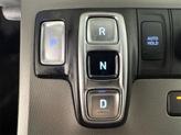 Thumbnail of 2021 Rainforest Hyundai PALISADE