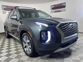 Photo of 2021 Rainforest Hyundai PALISADE