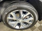 Thumbnail of 2021 Rainforest Hyundai PALISADE