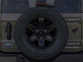 Thumbnail of 2025 Gray Ford Bronco