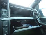 Thumbnail of 2021 Lead Foot Ford F-150
