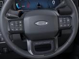 Thumbnail of 2025 Ruby Red Metallic Tinted Clearcoat Ford F-250
