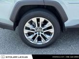 Thumbnail of 2023 Lunar Rock/Ice Edge Toyota RAV4