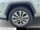 Thumbnail of 2023 Lunar Rock/Ice Edge Toyota RAV4