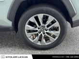 Thumbnail of 2023 Lunar Rock/Ice Edge Toyota RAV4