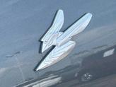 Thumbnail of 2024 Gray Cray Dodge Hornet
