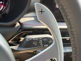 Thumbnail of 2024 Gray Cray Dodge Hornet