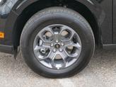 Thumbnail of 2025 Shadow Black Ford Maverick