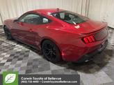 Thumbnail of 2024 Rapid Red Metallic Tinted Clearcoat Ford Mustang