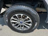 Thumbnail of 2018 Lead Foot Ford F-150