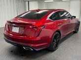 Thumbnail of 2023 Radiant Red Tintcoat Cadillac CT5