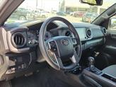 Thumbnail of 2023 Ice Cap Toyota Tacoma