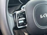 Thumbnail of 2023 Panthera Metal Kia Carnival