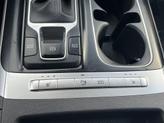 Thumbnail of 2023 Panthera Metal Kia Carnival