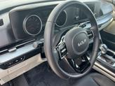 Thumbnail of 2023 Panthera Metal Kia Carnival