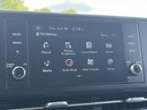 Thumbnail of 2023 Panthera Metal Kia Carnival