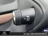 Thumbnail of 2025 Cloudburst Gray Lexus ES 300h