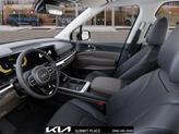 Thumbnail of 2026 Panthera Metal Kia Carnival