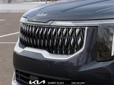 Thumbnail of 2026 Panthera Metal Kia Carnival
