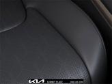 Thumbnail of 2026 Panthera Metal Kia Carnival