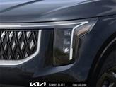 Thumbnail of 2026 Panthera Metal Kia Carnival