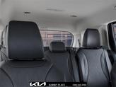 Thumbnail of 2026 Panthera Metal Kia Carnival