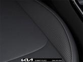 Thumbnail of 2025 Wolf Gray Kia Sorento