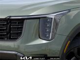 Thumbnail of 2025 Jungle Green Kia Sorento
