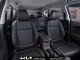 Thumbnail of 2025 Steel Gray Kia Seltos