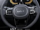 Thumbnail of 2025 Panthera Metal Kia Sorento