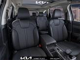 Thumbnail of 2025 Panthera Metal Kia Sorento