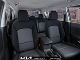 Thumbnail of 2025 Steel Gray Kia Soul