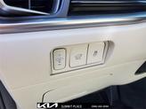 Thumbnail of 2025 Road Rider Brown Kia Sorento