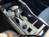 Thumbnail of 2025 Road Rider Brown Kia Sorento
