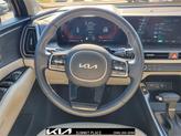 Thumbnail of 2025 Road Rider Brown Kia Sorento