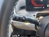 Thumbnail of 2025 Road Rider Brown Kia Sorento