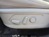 Thumbnail of 2025 Road Rider Brown Kia Sorento