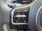 Thumbnail of 2025 Road Rider Brown Kia Sorento